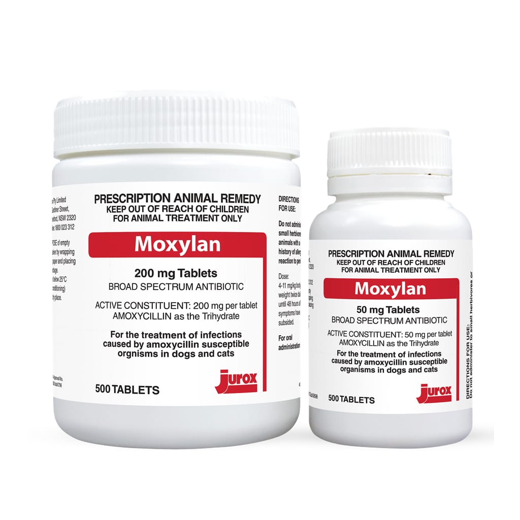 Moxylan Tablets